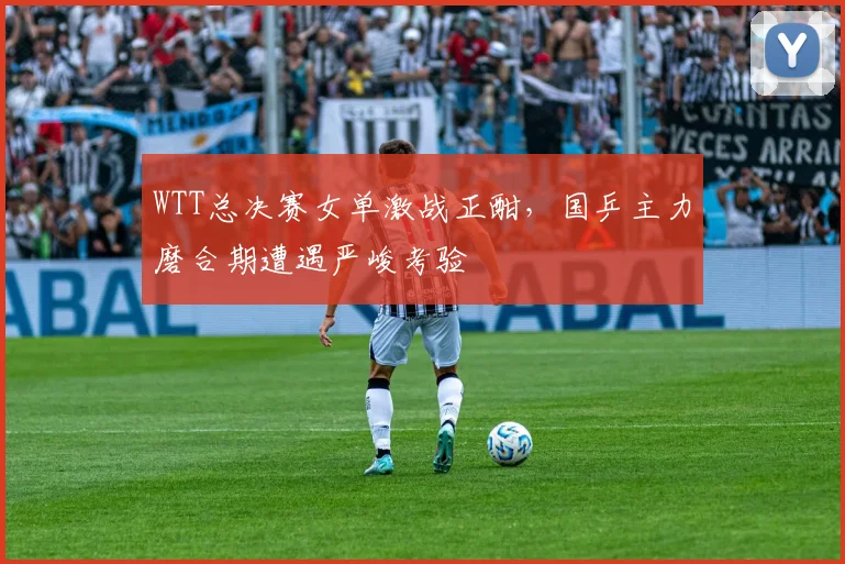 WTT总决赛女单激战正酣，国乒主力磨合期遭遇严峻考验