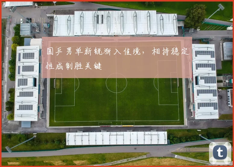国乒男单新锐渐入佳境，相持稳定性成制胜关键
