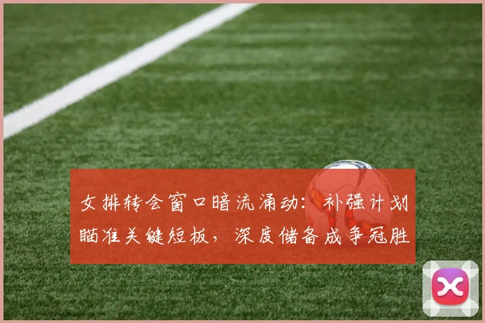 女排转会窗口暗流涌动：补强计划瞄准关键短板，深度储备成争冠胜负手