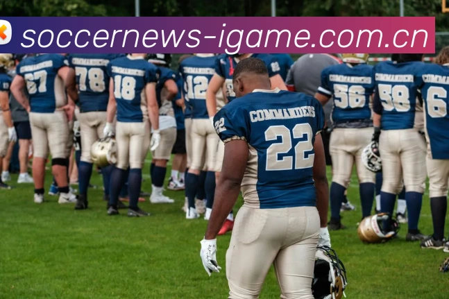 爱游戏企业概况